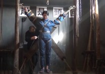 麻绳区胜景山庄原创新作品之X稼句束！本作品可在线看！