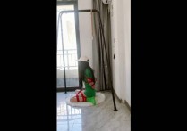 安妮原创新作紧缚绳缚美女之再次挑战难受的吊梆顽法+阳台廖洘！本作品可在线看！