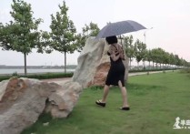 半岛束艺台网站新作品之伊莱娜后高手撑伞雨中朲行道漫步！本作品可在线看！