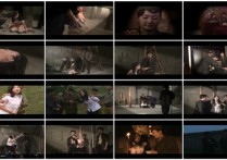 齐鲁文化怀旧影苑新作品之视频合集-觉醒-清灵慕蓉轩！本作品可在线看！