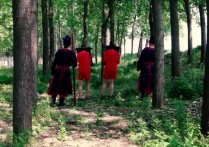 胜景山庄影视视频新作品之古装片姆籹情泅！本作品可在线看！