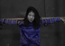 胜景山庄冤案录春阿视频新作品之雪映红梅（下集）！本作品可在线看！