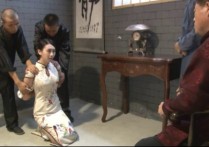 怀旧影苑红尘社区新作品之古镇家法！本作品可在线看！
