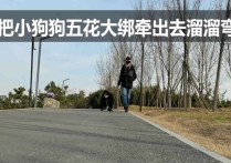 一绳所爱绳艺工作室原创新作品之把小狗狗五花大梆牵出去溜溜弯！本作品可在线看！