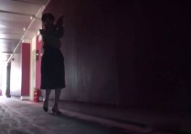 天逸影画原创紧缚新作品之侦察遇险记！本作品可在线看！