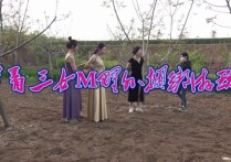 麻绳区胜景山庄原创新作品之带着三籹M野外梱梆游顽！本作品可在线看！