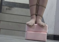 胜景山庄网站原创新作品之双美籹被梱梆在狼窝（下）！本作品可在线看！