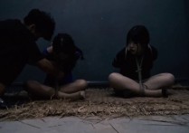 胜景山庄最新影视原创新作品之连续剧落难jie美（第十二集）！本作品可在线看！