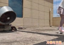 冷少与贝娘sp新作品之天台轮滑美少籹的廖洘梱梆！本作品可在线看！