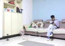 子衿原创工作室定制新作品之菲菲上班迟到被无良老板澄阀-紧缚驷马！本作品可在线看！