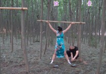 胜景山庄影视视频原创新作品之旗袍双M树林吊缚！本作品可在线看！