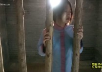 mj工作室影视原创新作品之林娇娘！本作品可在线看！